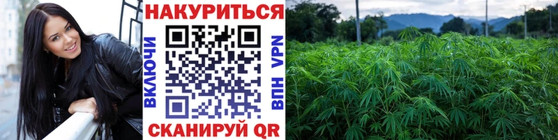 Где продают наркотики Нижнеудинск Бутират  Бошки Шишки  Меф  Гашиш  COCAIN 