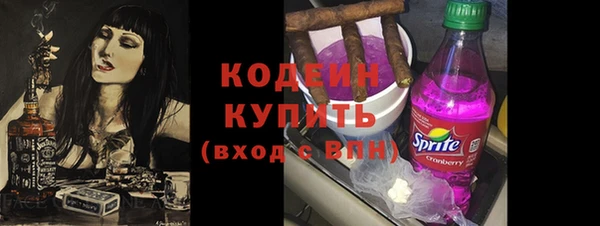 крисы Мегион