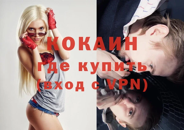 крисы Мегион